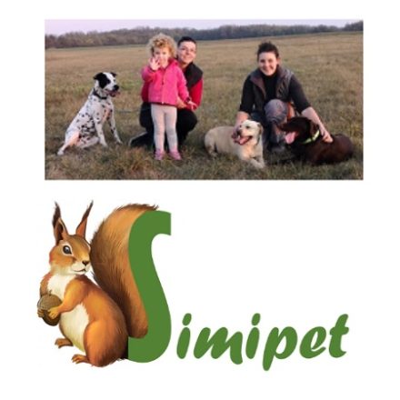 Panzi FitActive Hypoallergenic 15 kg Puppy&Junior Lamb&Apple&Rice